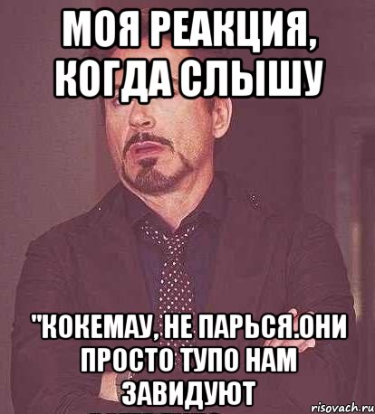 моя реакция, когда слышу "кокемау, не парься.они просто тупо нам завидуют, Мем  Мое выражение лица (вертик)