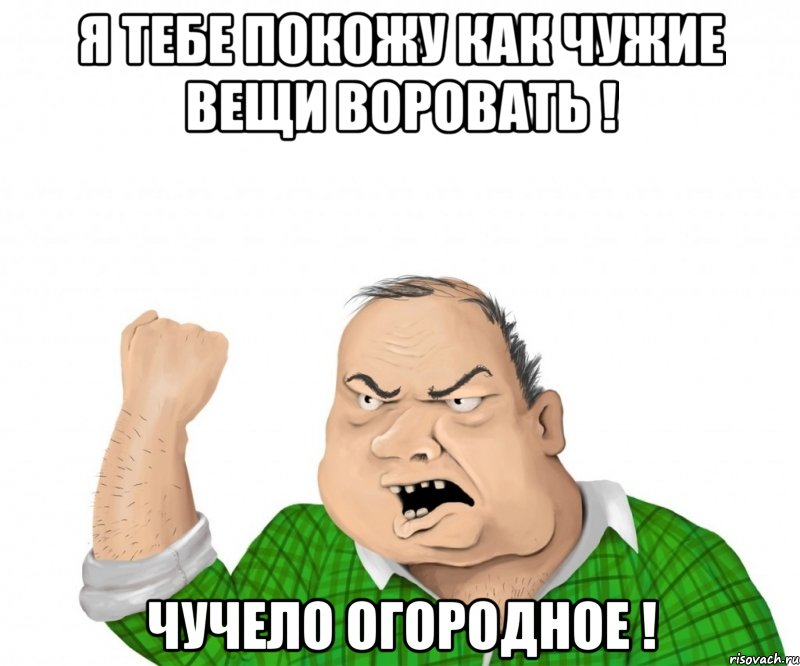 я тебе покожу как чужие вещи воровать ! чучело огородное !, Мем мужик