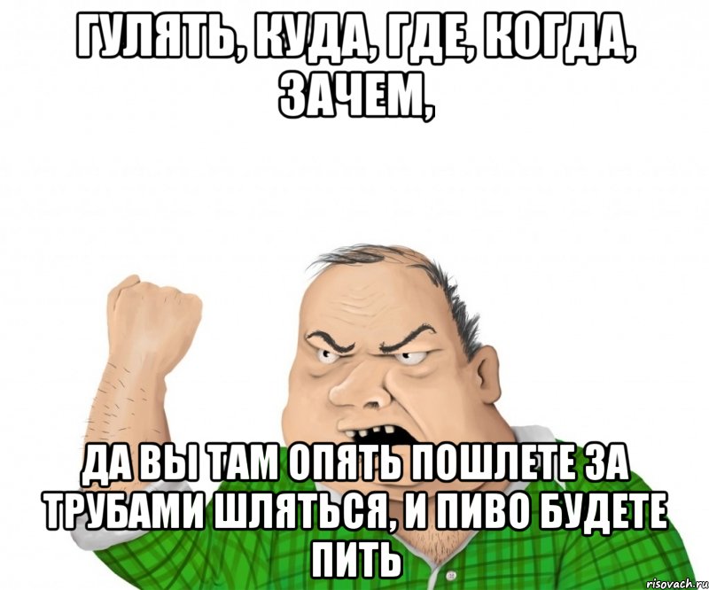 гулять, куда, где, когда, зачем, да вы там опять пошлете за трубами шляться, и пиво будете пить, Мем мужик