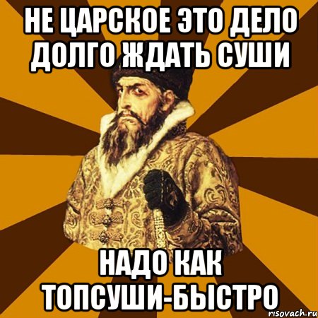 не царское это дело долго ждать суши надо как топсуши-быстро, Мем Не царское это дело