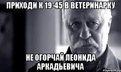 приходи к 19-45 в ветеринарку не огорчай леонида аркадьевича, Мем Не огорчай Леонида Аркадьевича