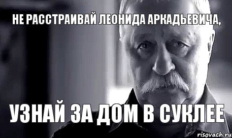 Не расстраивай Леонида Аркадьевича, узнай за дом в Суклее, Мем Не огорчай Леонида Аркадьевича