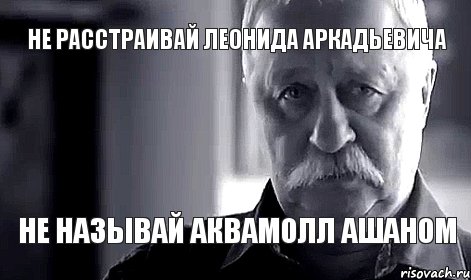 Не расстраивай Леонида Аркадьевича не называй аквамолл ашаном, Мем Не огорчай Леонида Аркадьевича