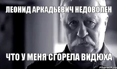 Леонид Аркадьевич недоволен что у меня сгорела видюха, Мем Не огорчай Леонида Аркадьевича