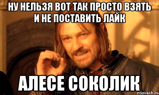 ну нельзя вот так просто взять и не поставить лайк алесе соколик, Мем Нельзя просто так взять и (Боромир мем)