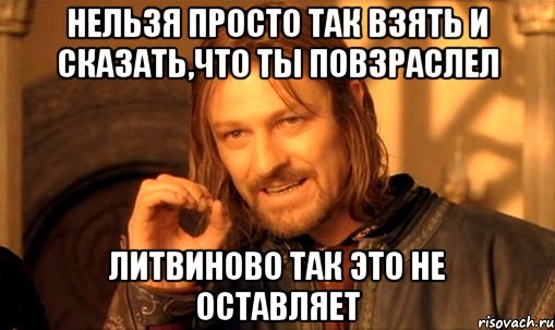 нельзя просто так взять и сказать,что ты повзраслел литвиново так это не оставляет, Мем Нельзя просто так взять и (Боромир мем)