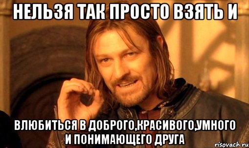 нельзя так просто взять и влюбиться в доброго,красивого,умного и понимающего друга, Мем Нельзя просто так взять и (Боромир мем)