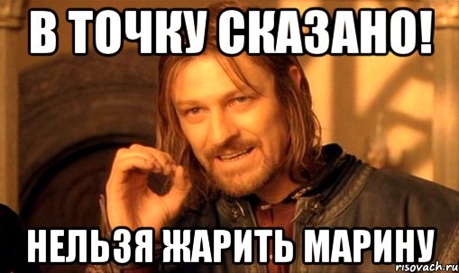 в точку сказано! нельзя жарить марину, Мем Нельзя просто так взять и (Боромир мем)