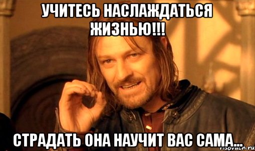 учитесь наслаждаться жизнью!!! страдать она научит вас сама..., Мем Нельзя просто так взять и (Боромир мем)