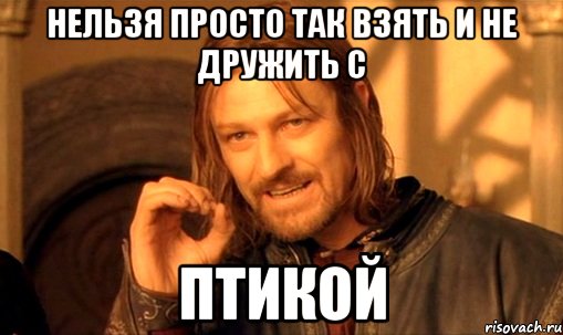 нельзя просто так взять и не дружить с птикой, Мем Нельзя просто так взять и (Боромир мем)