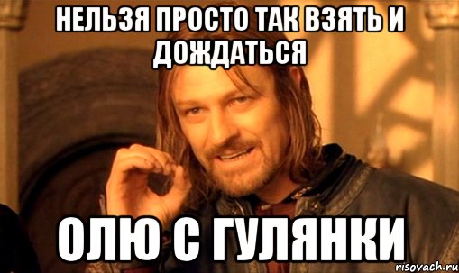 нельзя просто так взять и дождаться олю с гулянки, Мем Нельзя просто так взять и (Боромир мем)