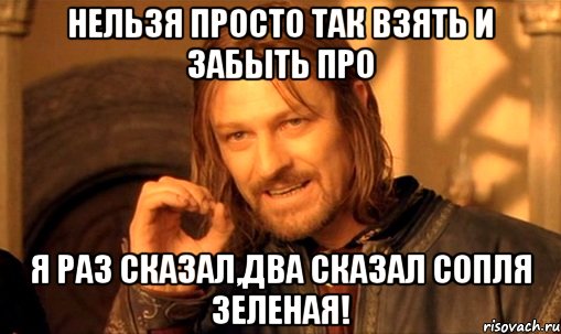 нельзя просто так взять и забыть про я раз сказал,два сказал сопля зеленая!, Мем Нельзя просто так взять и (Боромир мем)