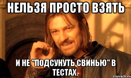 нельзя просто взять и не "подсунуть свинью" в тестах., Мем Нельзя просто так взять и (Боромир мем)