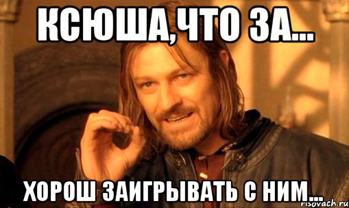 ксюша,что за... хорош заигрывать с ним..., Мем Нельзя просто так взять и (Боромир мем)