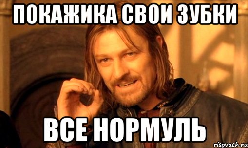 покажика свои зубки все нормуль, Мем Нельзя просто так взять и (Боромир мем)