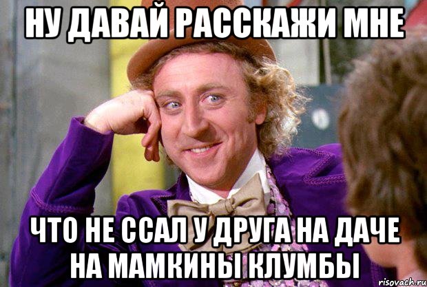 ну давай расскажи мне что не ссал у друга на даче на мамкины клумбы, Мем Ну давай расскажи (Вилли Вонка)