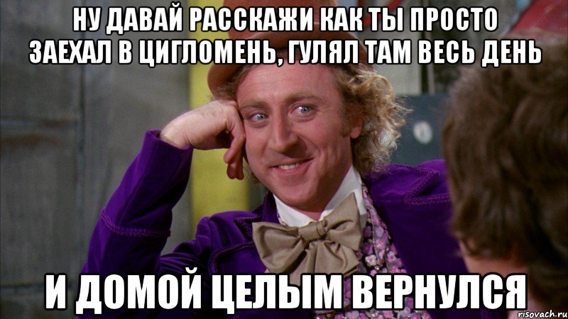 ну давай расскажи как ты просто заехал в цигломень, гулял там весь день и домой целым вернулся, Мем Ну давай расскажи (Вилли Вонка)