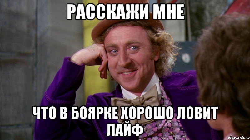 расскажи мне что в боярке хорошо ловит лайф, Мем Ну давай расскажи (Вилли Вонка)