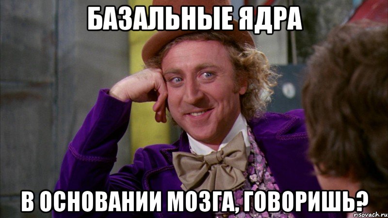 базальные ядра в основании мозга, говоришь?, Мем Ну давай расскажи (Вилли Вонка)