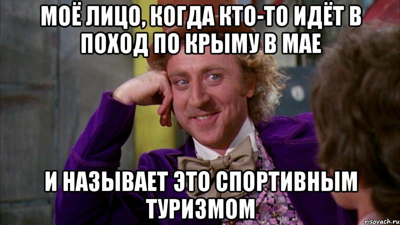 моё лицо, когда кто-то идёт в поход по крыму в мае и называет это спортивным туризмом, Мем Ну давай расскажи (Вилли Вонка)