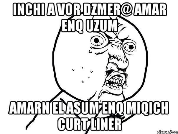 inchi a vor dzmer@ amar enq uzum amarn el asum enq miqich curt liner, Мем Ну почему (белый фон)