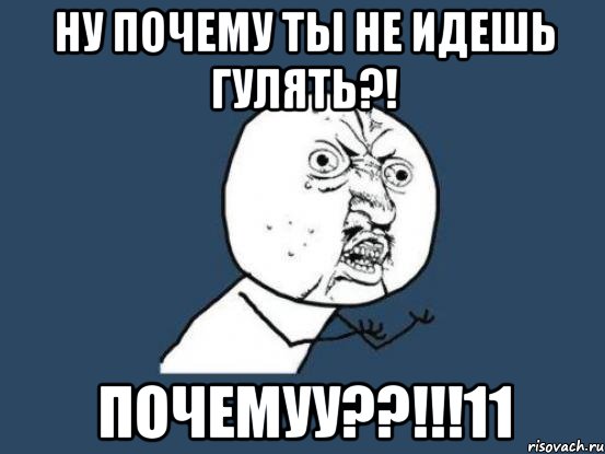 ну почему ты не идешь гулять?! почемуу??!!!11, Мем Ну почему