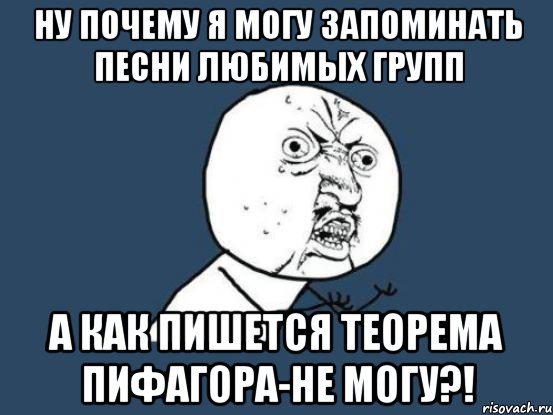 ну почему я могу запоминать песни любимых групп а как пишется теорема пифагора-не могу?!, Мем Ну почему