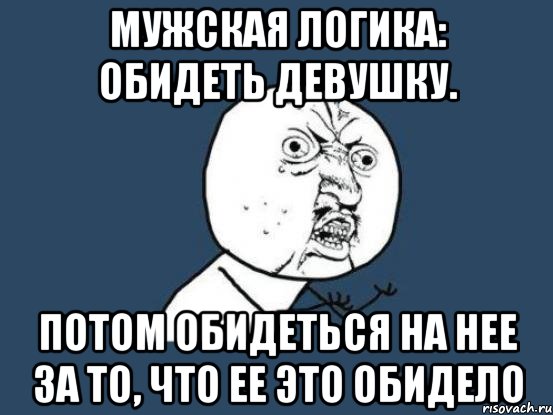 мужская логика: обидеть девушку. потом обидеться на нее за то, что ее это обидело, Мем Ну почему