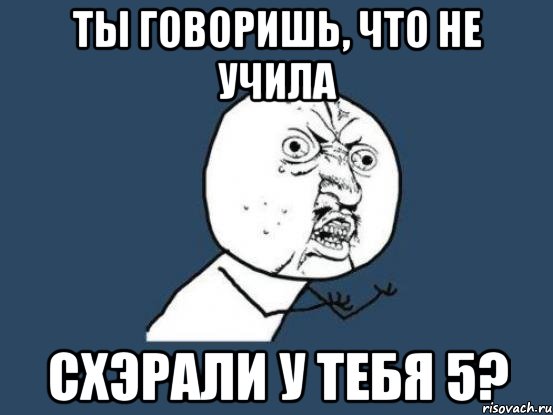 ты говоришь, что не учила схэрали у тебя 5?, Мем Ну почему