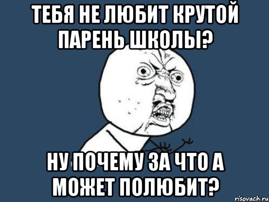 тебя не любит крутой парень школы? ну почему за что а может полюбит?, Мем Ну почему