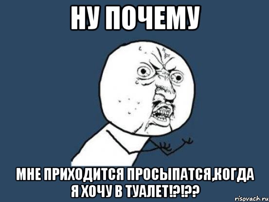 ну почему мне приходится просыпатся,когда я хочу в туалет!?!??, Мем Ну почему