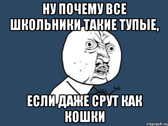 ну почему все школьники такие тупые, если даже срут как кошки, Мем Ну почему