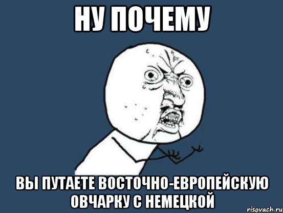 ну почему вы путаете восточно-европейскую овчарку с немецкой, Мем Ну почему