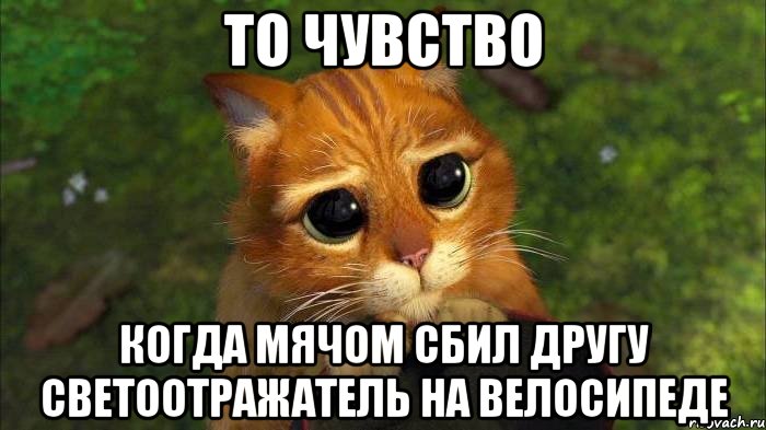 то чувство когда мячом сбил другу светоотражатель на велосипеде, Мем кот из шрека