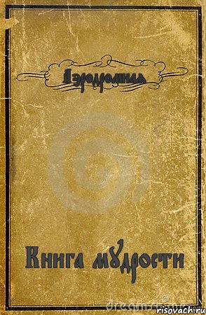 Аэродромная Книга мудрости, Комикс обложка книги