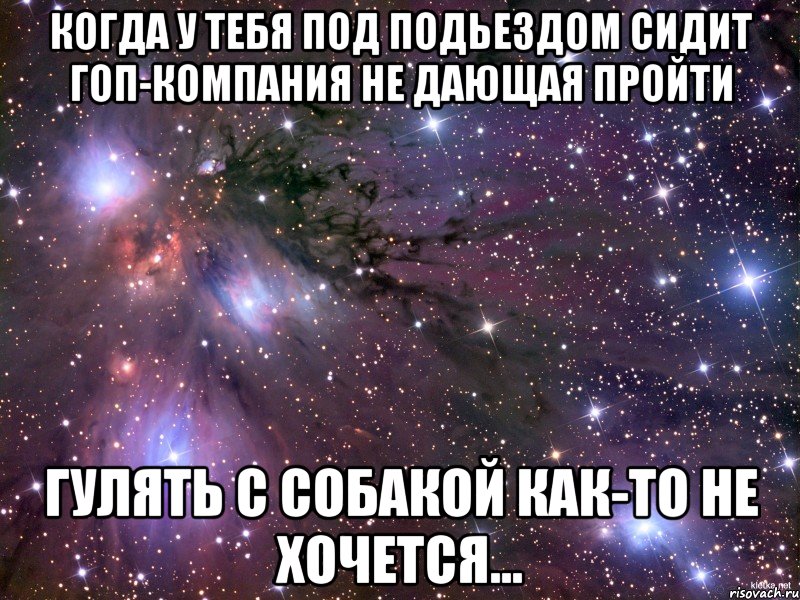 когда у тебя под подьездом сидит гоп-компания не дающая пройти гулять с собакой как-то не хочется..., Мем Космос