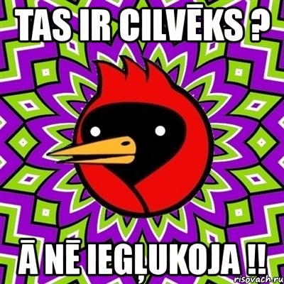 tas ir cilvēks ? ā nē iegļukoja !!, Мем Омская птица