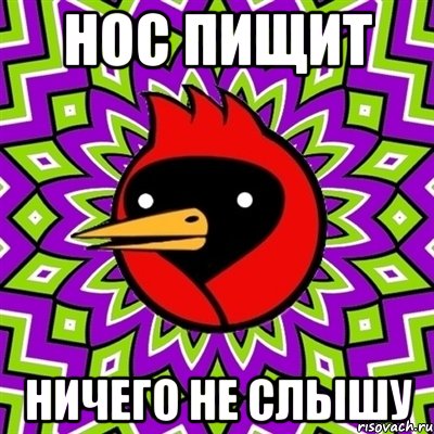 нос пищит ничего не слышу, Мем Омская птица