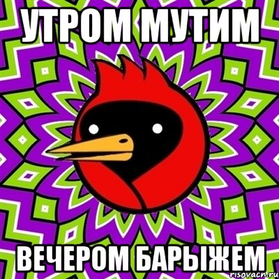 утром мутим вечером барыжем, Мем Омская птица