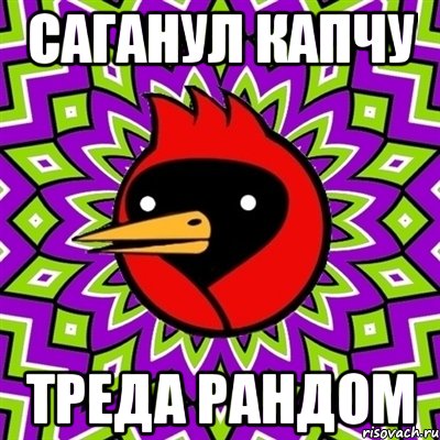 саганул капчу треда рандом, Мем Омская птица