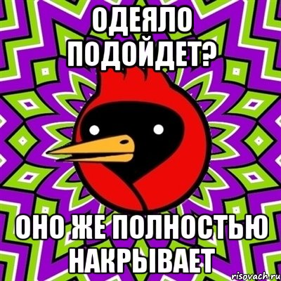 одеяло подойдет? оно же полностью накрывает, Мем Омская птица