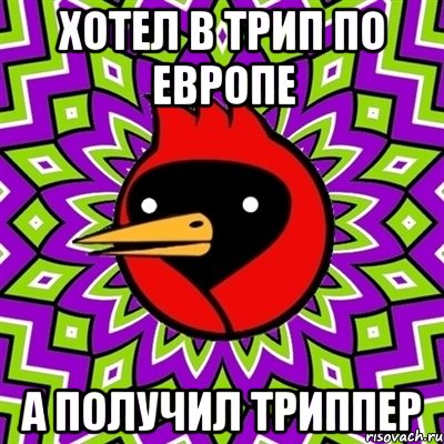 хотел в трип по европе а получил триппер, Мем Омская птица