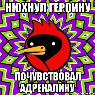 нюхнул героину почувствовал адреналину, Мем Омская птица