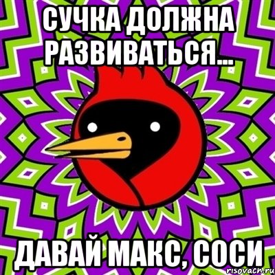 сучка должна развиваться... давай макс, соси, Мем Омская птица