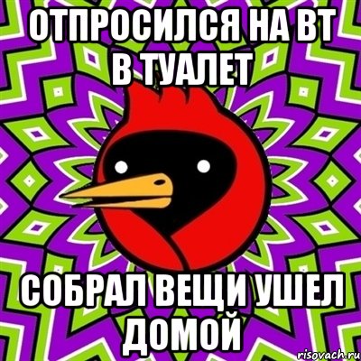 отпросился на вт в туалет собрал вещи ушел домой, Мем Омская птица