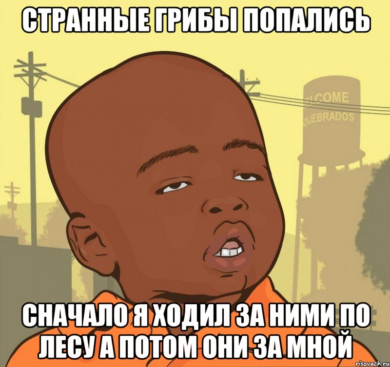 странные грибы попались сначало я ходил за ними по лесу а потом они за мной, Мем Пацан наркоман