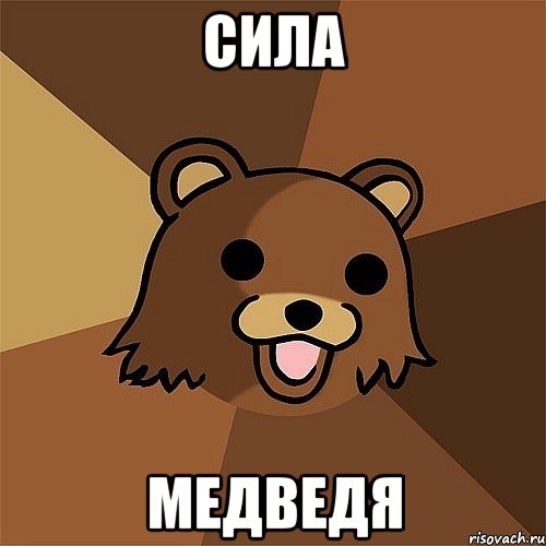 сила медведя, Мем Педобир