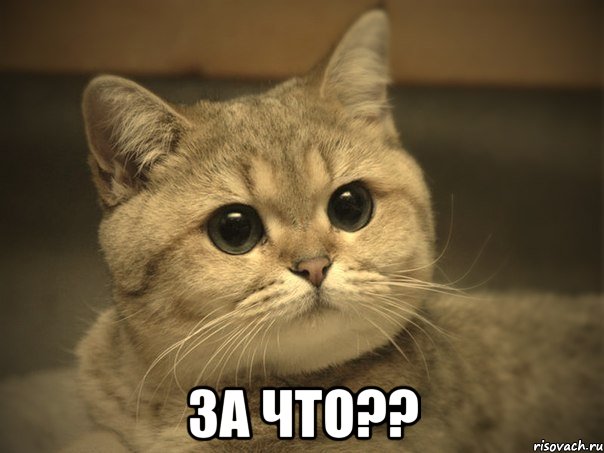  за что??