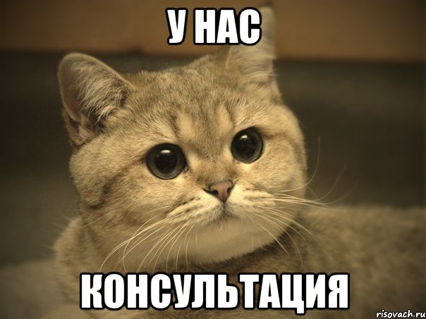 у нас консультация