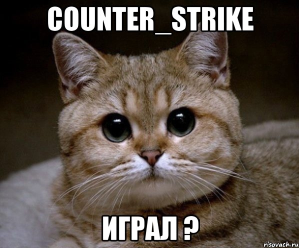 counter_strike играл ?, Мем Пидрила Ебаная